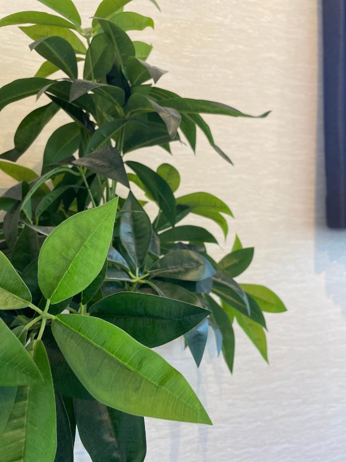 Niseko Hotel Kiraku Kou Екстериор снимка